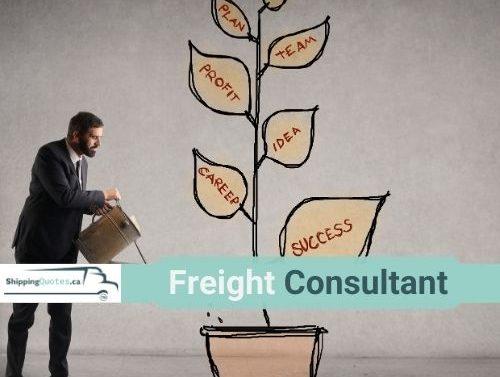 Freight consultant shipping quotes