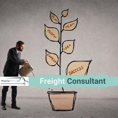 Freight consultant shipping quotes